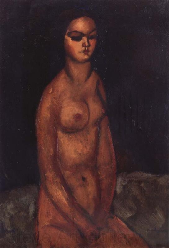 Amedeo Modigliani Nudo Seduto France oil painting art